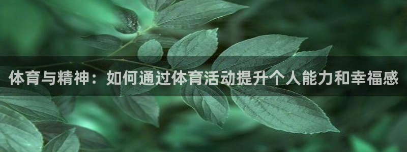 劲球体育nba直播入口
