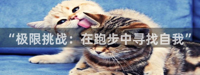劲球体育免费直播NBA